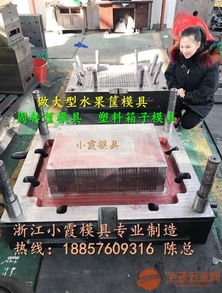 塑料模具 塑膠折疊周轉箱模具 pp塑膠折疊零件盒模具開模工廠